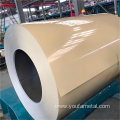 Pre-Painted PPGL/PPGI Galvanized Color Coated Steel Coil
